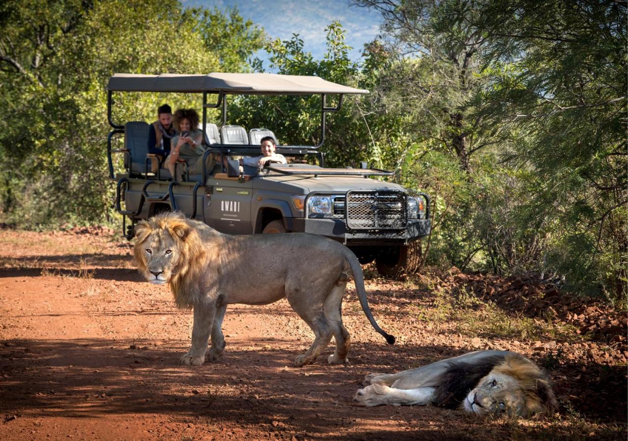 Babohi At Qwabi Private Game Reserve By Newmark Бела-Бела Экстерьер фото